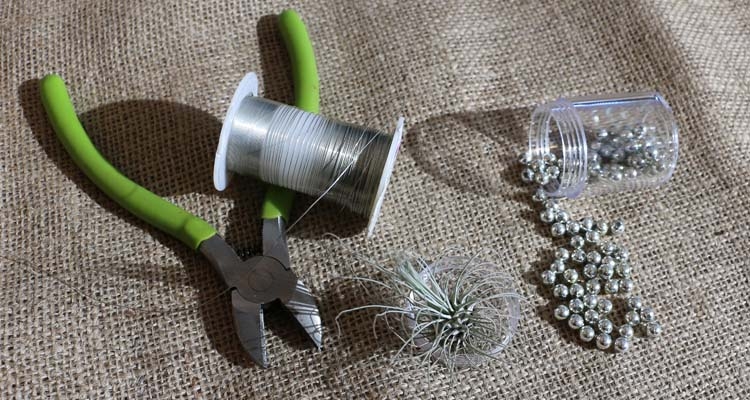 Hanging Air Plant Ornament Supplies_Wire, Cutters, Beads, Tillandsia